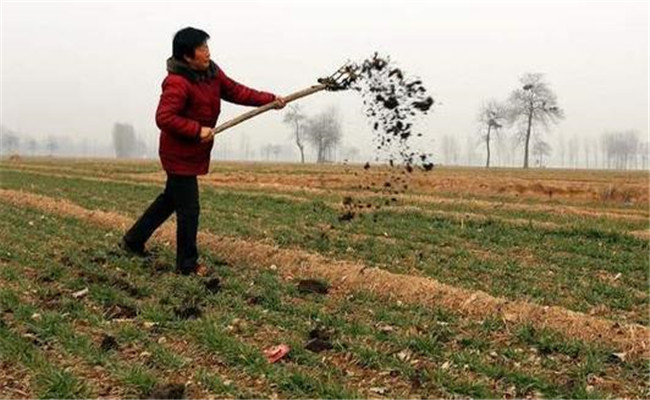 農(nóng)家肥和有機(jī)肥的區(qū)別