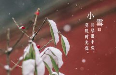 小雪節(jié)氣是什么意思，小雪節(jié)氣吃什么食品？