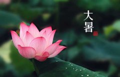 大暑是幾月幾日，大暑的節(jié)日民俗的哪些？