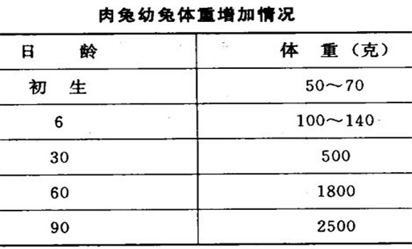 家兔的生長(zhǎng)發(fā)育