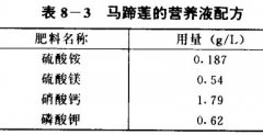 馬蹄蓮無土栽培技術(shù)要點(diǎn)