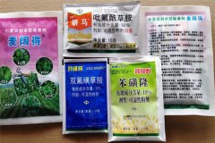 小麥田除草劑有哪些 小麥使用除草劑要注意什么