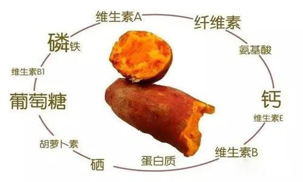 紅薯的營養(yǎng)特點(diǎn)