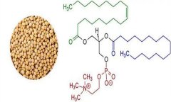 大豆異黃酮對人體有什么好處 什么食物含量多？