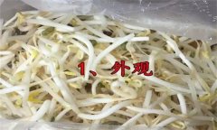 如何挑選豆芽？有根豆芽與無根豆芽有什么區(qū)別